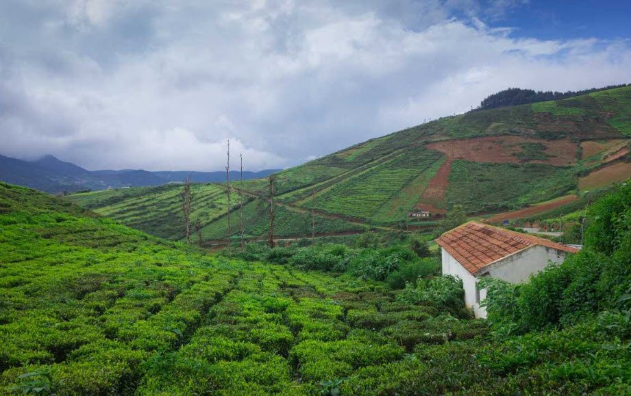 Coorg, Karnataka